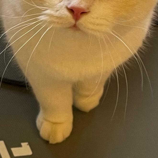 略略