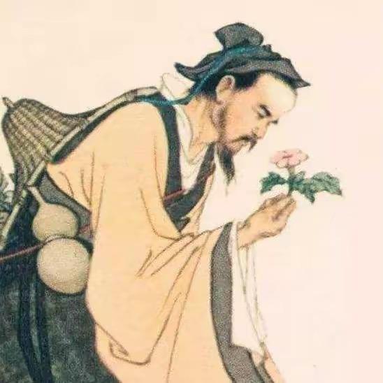 传承岐黄