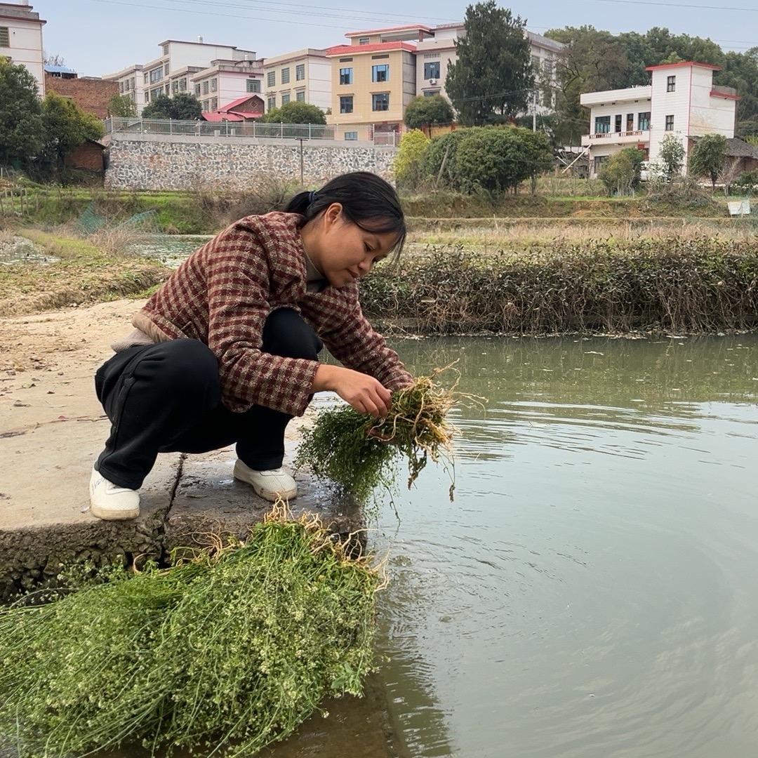 小刘刘土特产
