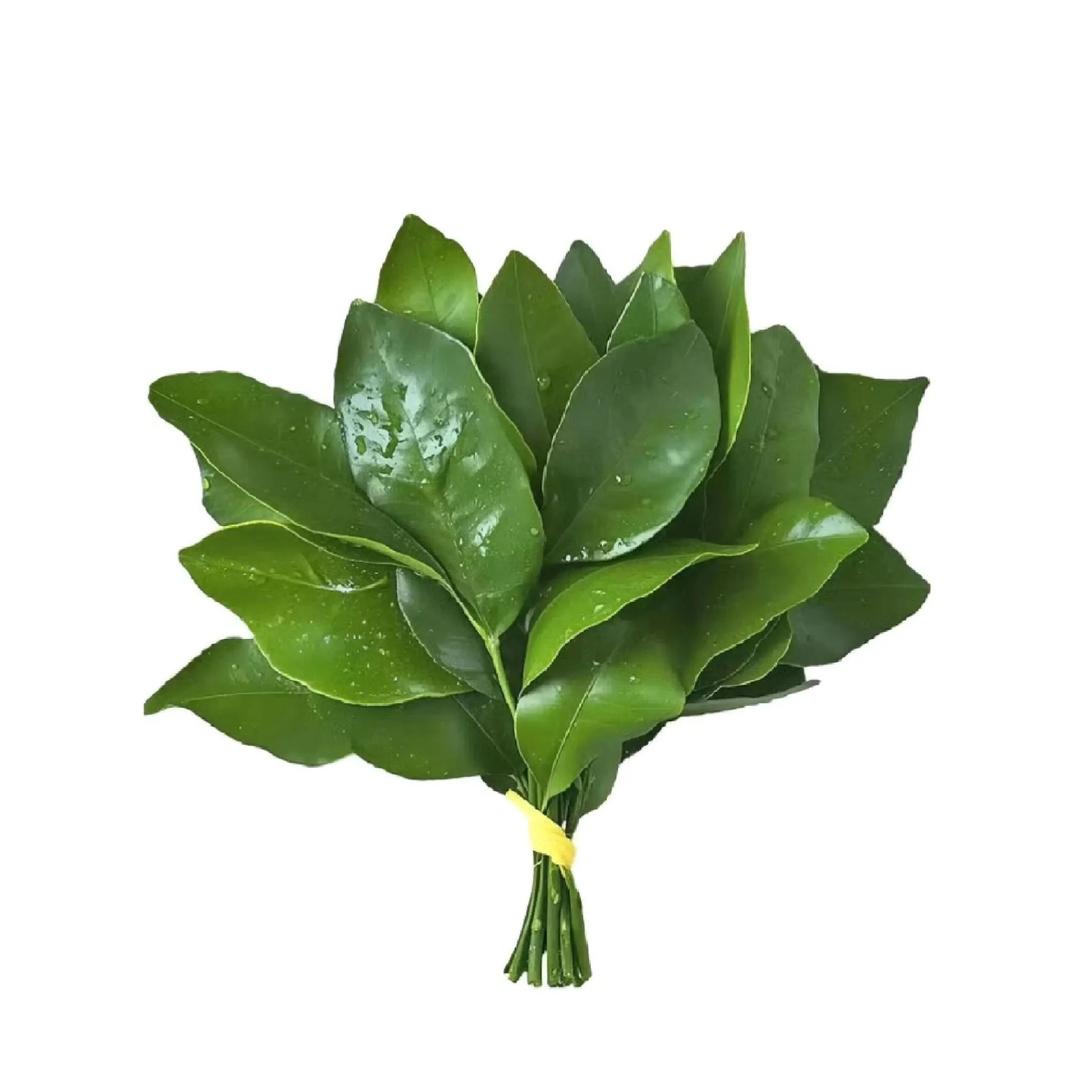 𝓛𝓲𝓾