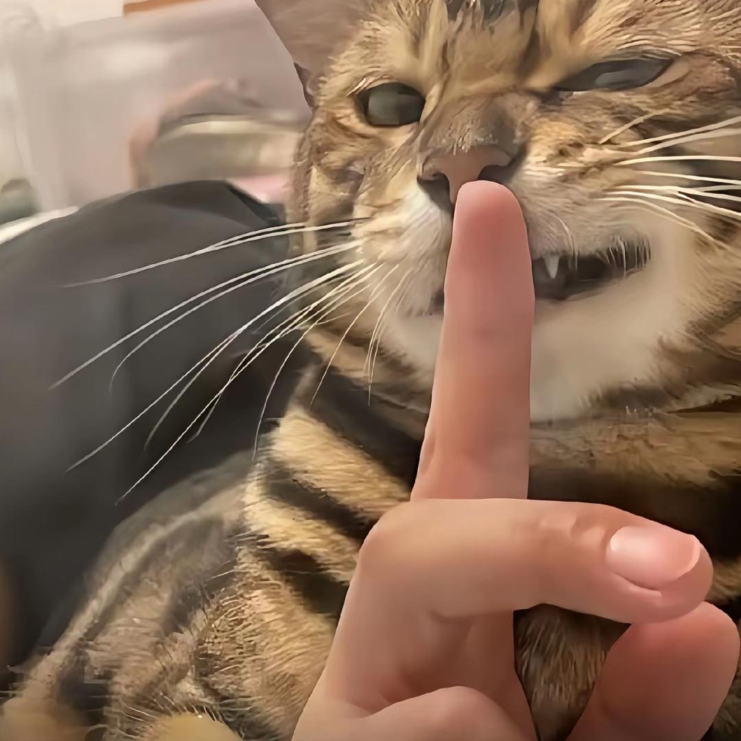用户至上！