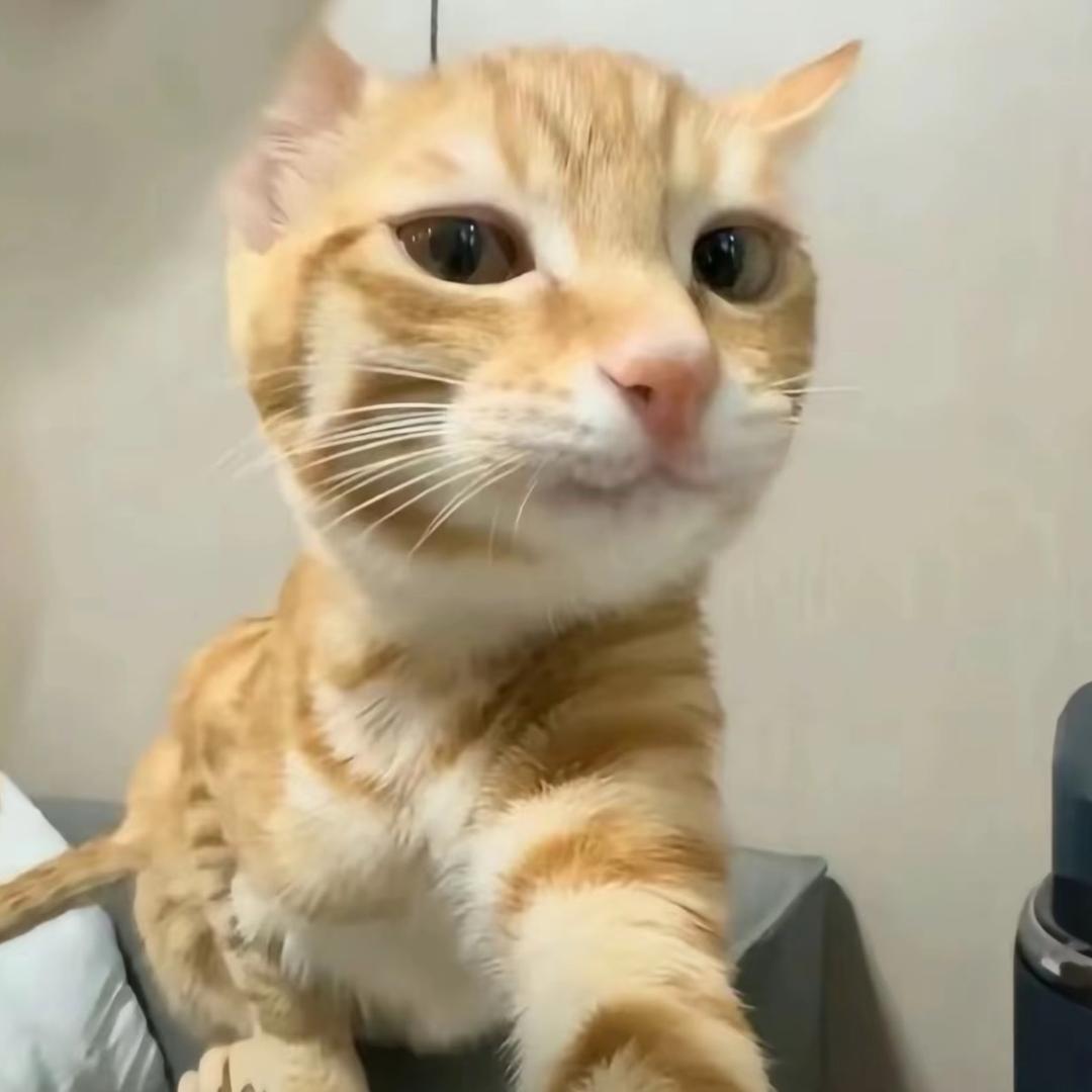 等周末
