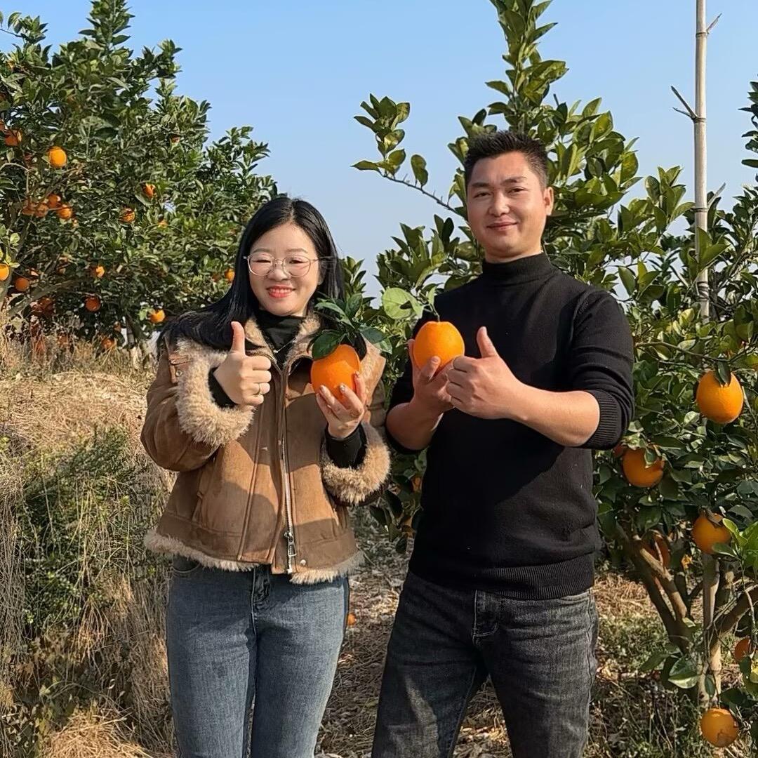 牛奋哥夫妇日常