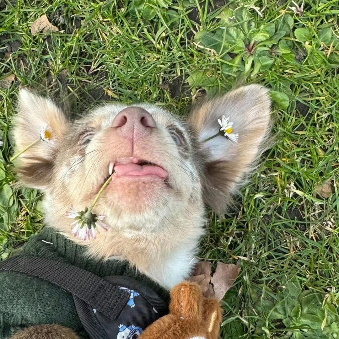 辉淼合聚信息咨询