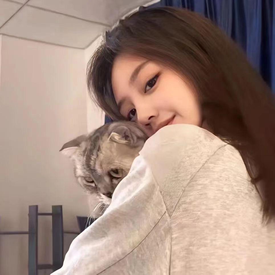王铁铁🐱