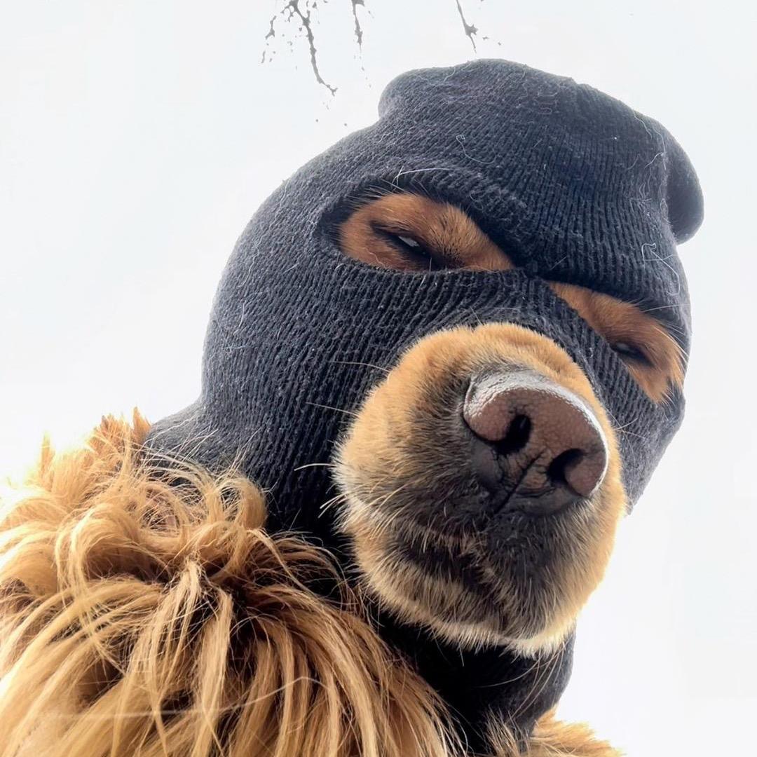 潢川到武汉顺风车