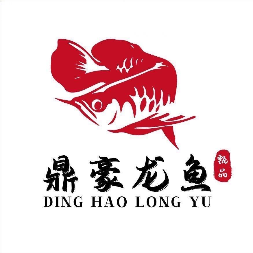 鼎豪龍鱼