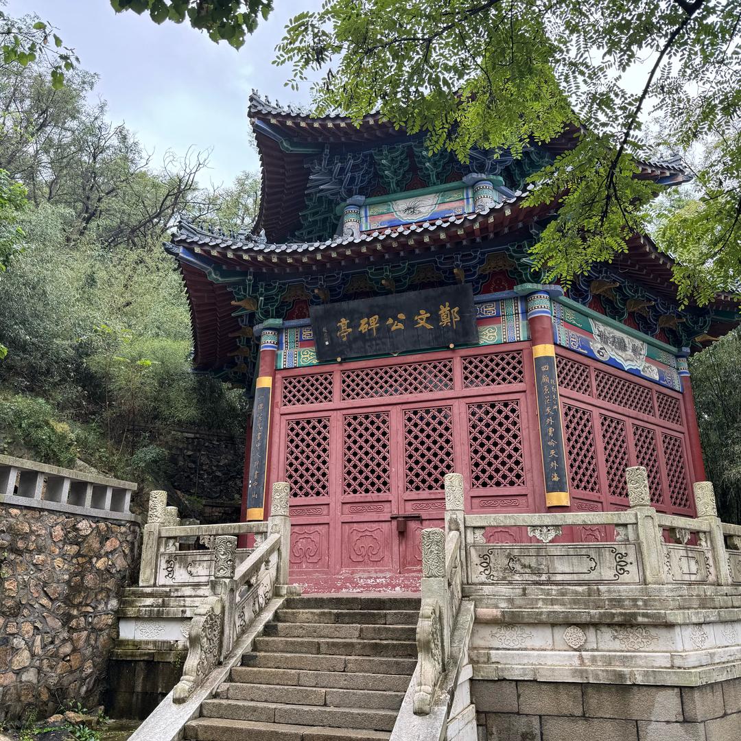 小粽子