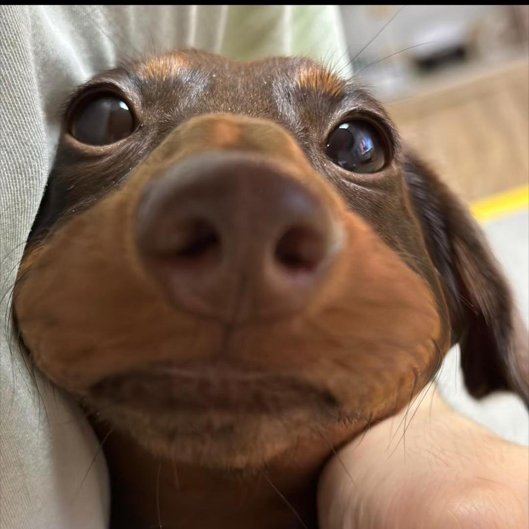 聪明的大智慧
