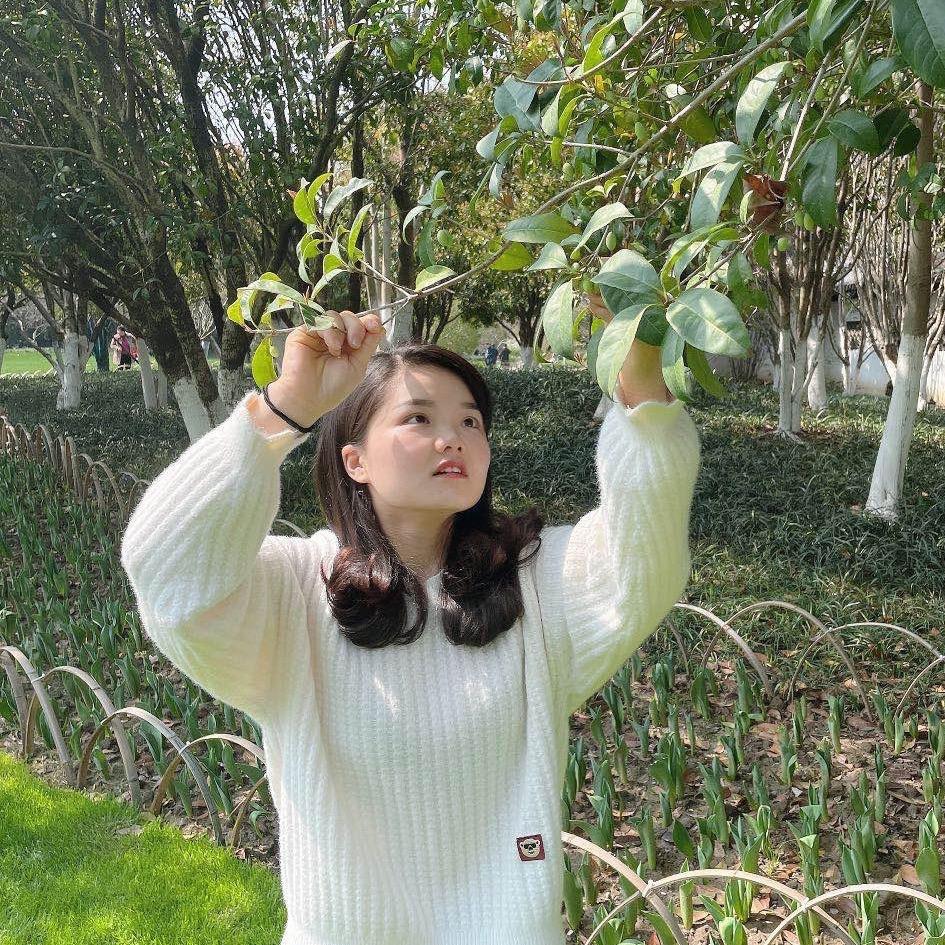 梦宝宝