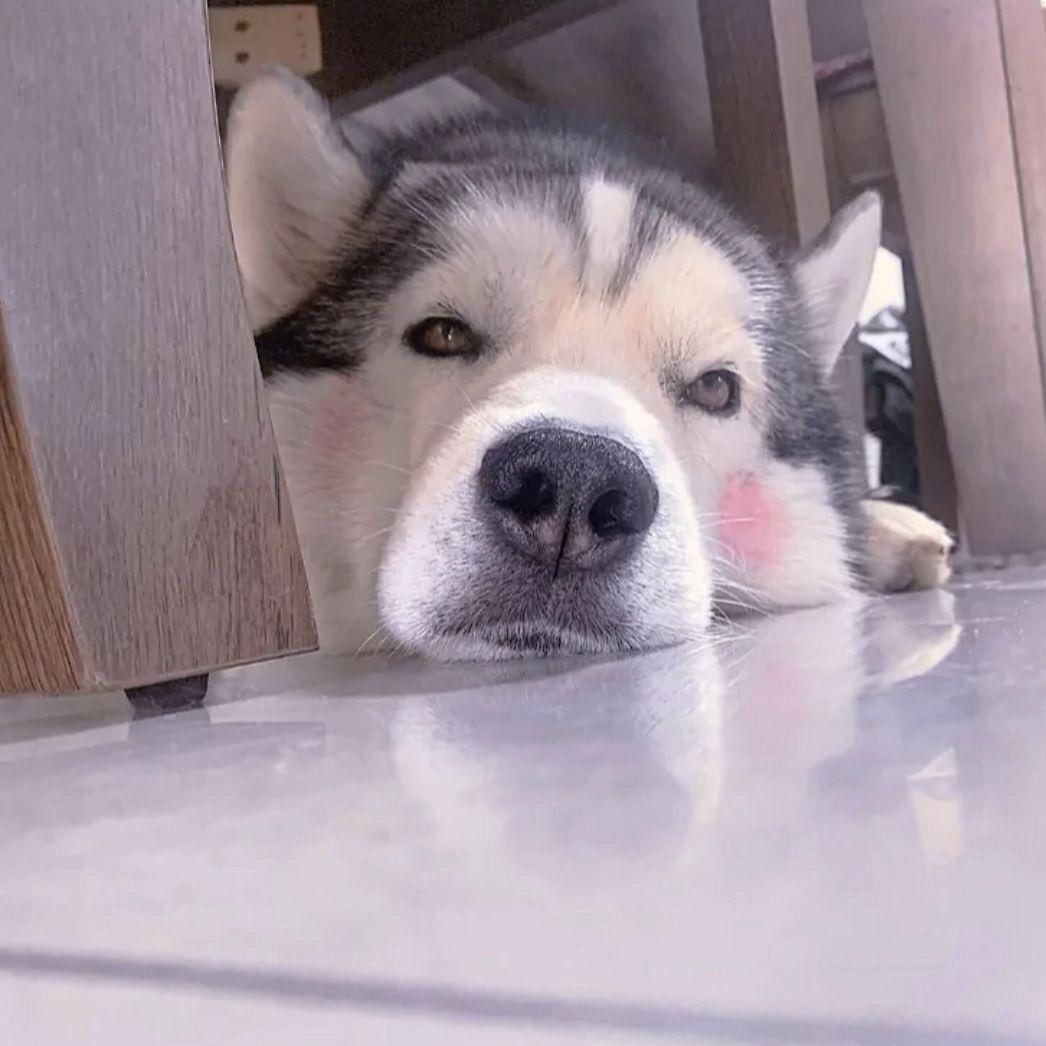 小小姐