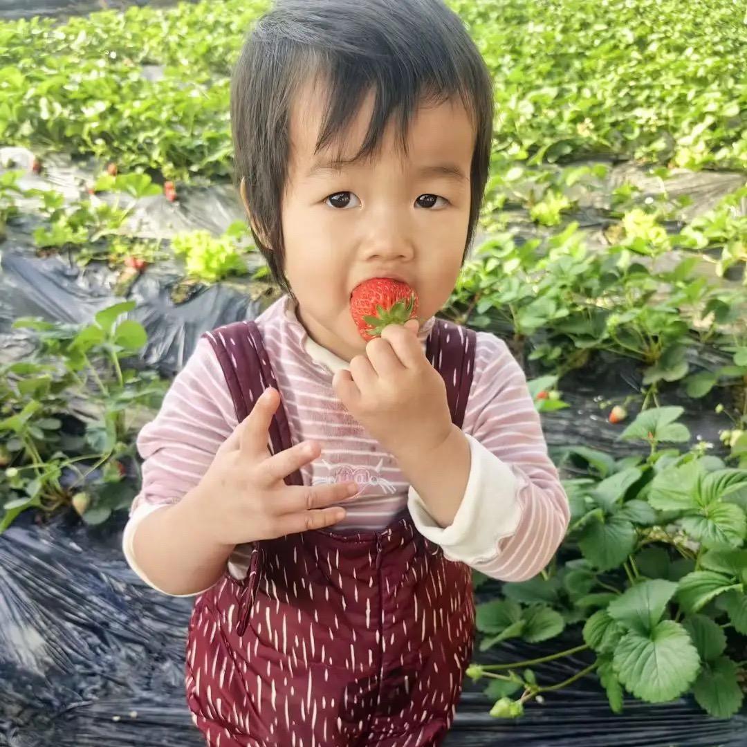 贾文龙