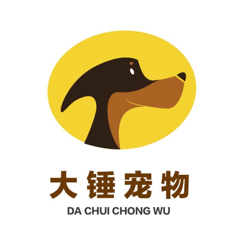 北京大锤宠物工作室