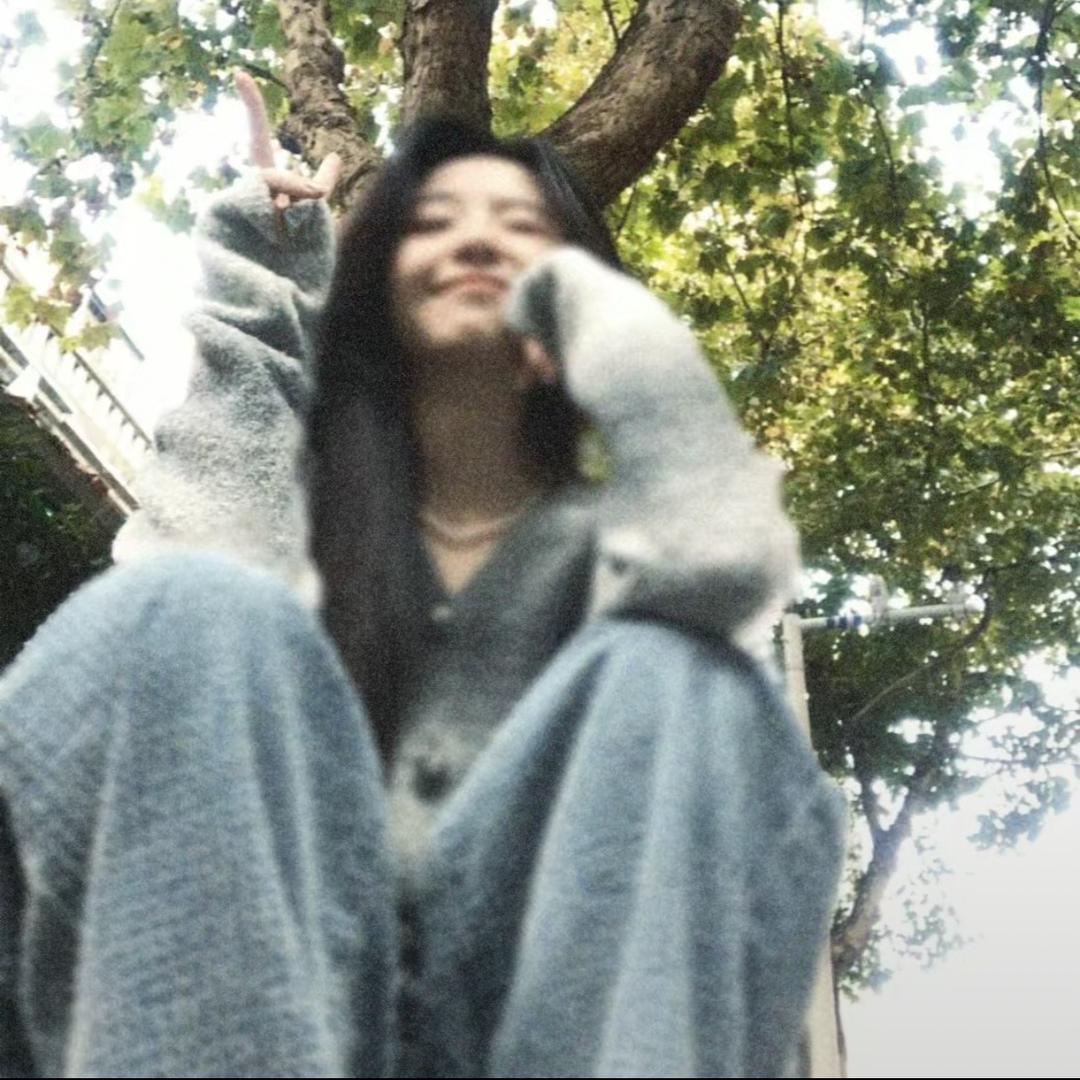 清风携南.