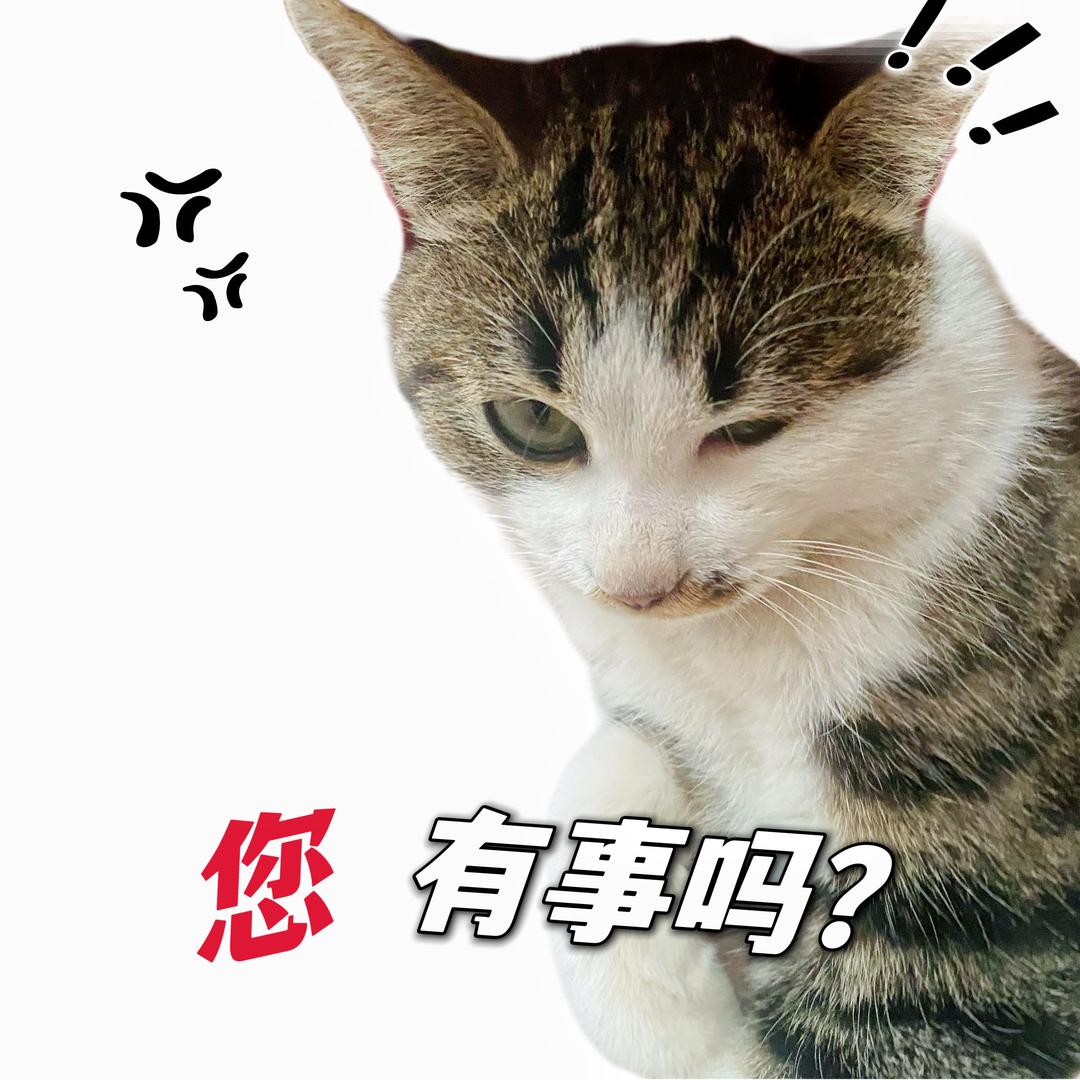 小黄不太黄