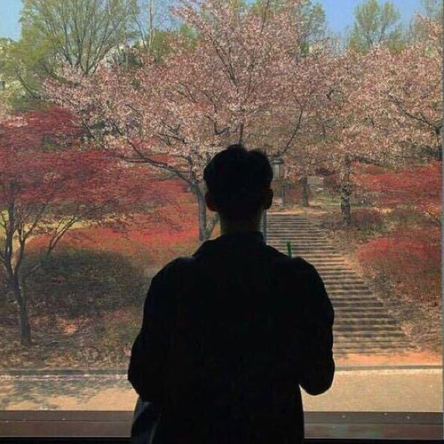 渔鸥