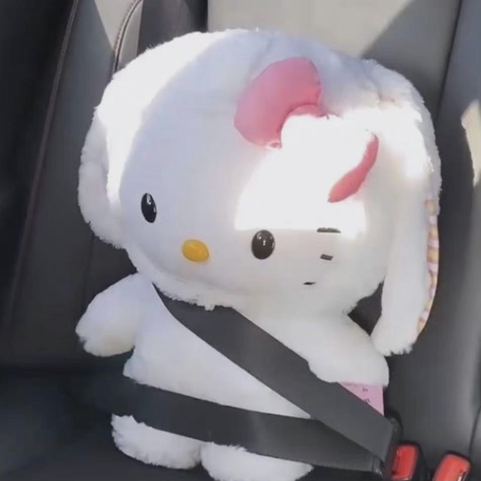 者者猪