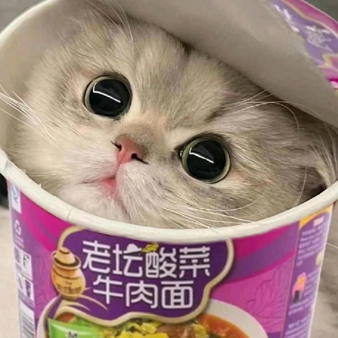 有点困了