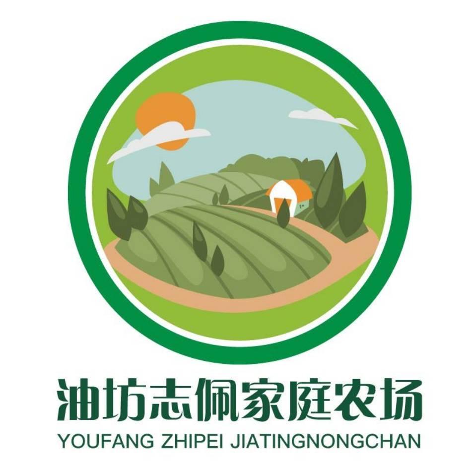 董志佩