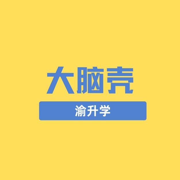 大脑壳渝升学