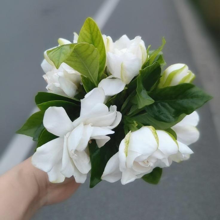 🌈My抖音