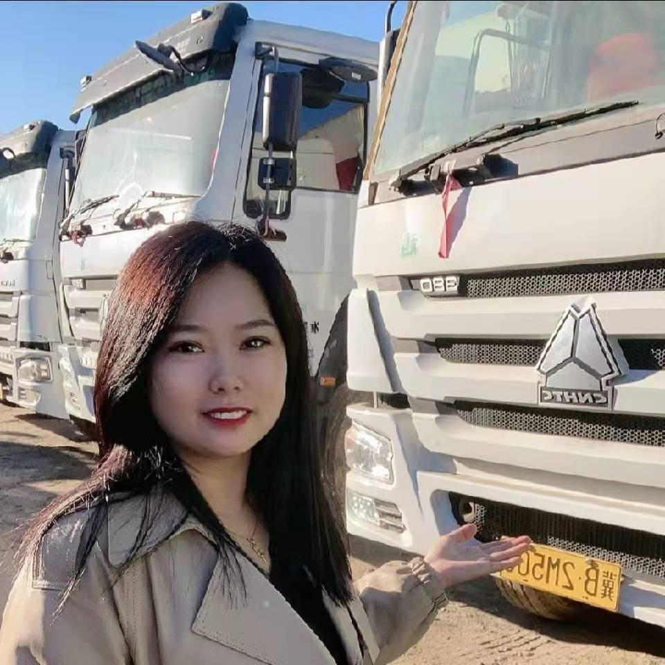 王丽自卸车