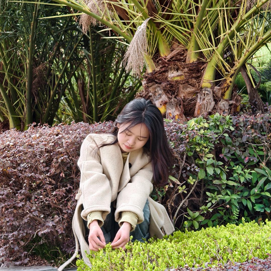 杉杉