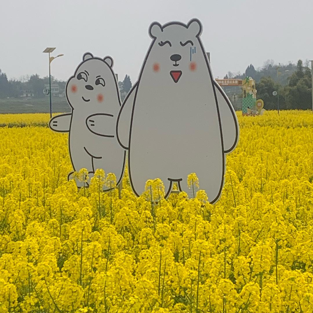 星辰💫大海🌊