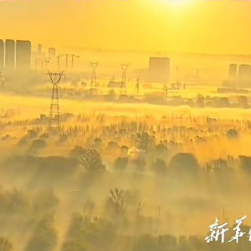 不识闲