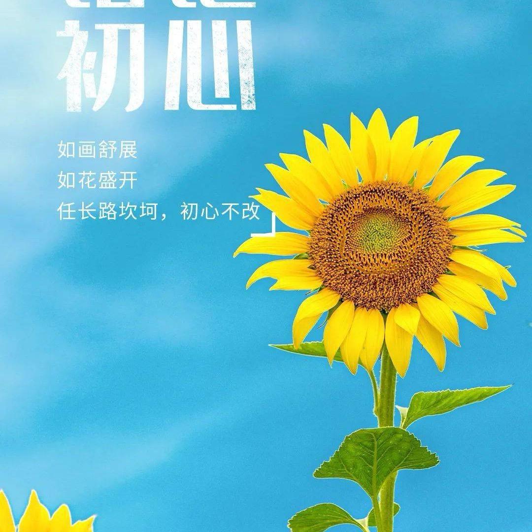 向阳说19