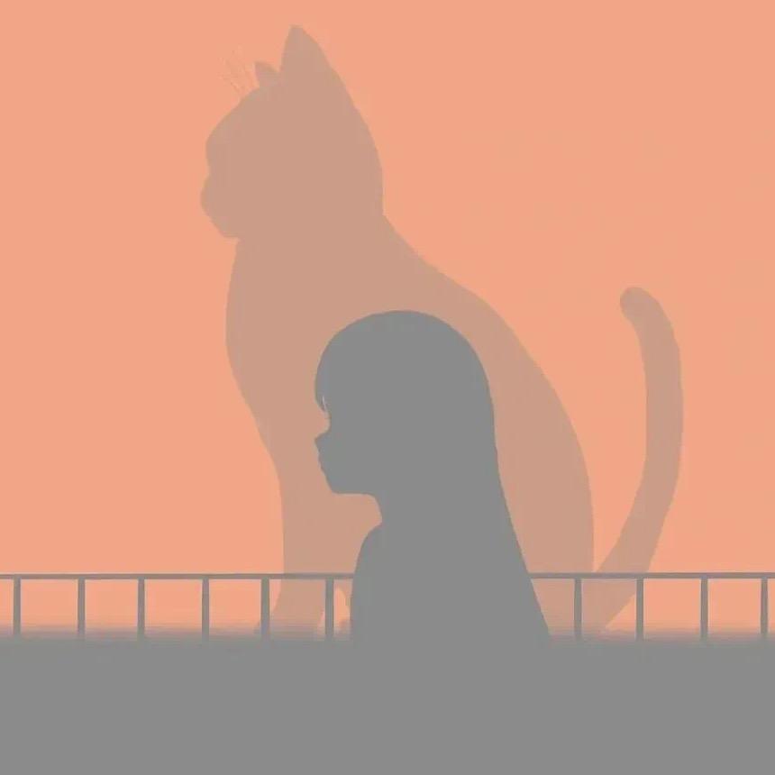 ᓚᘏᗢ 喵⋆｡🐈‍⬛ིྀ