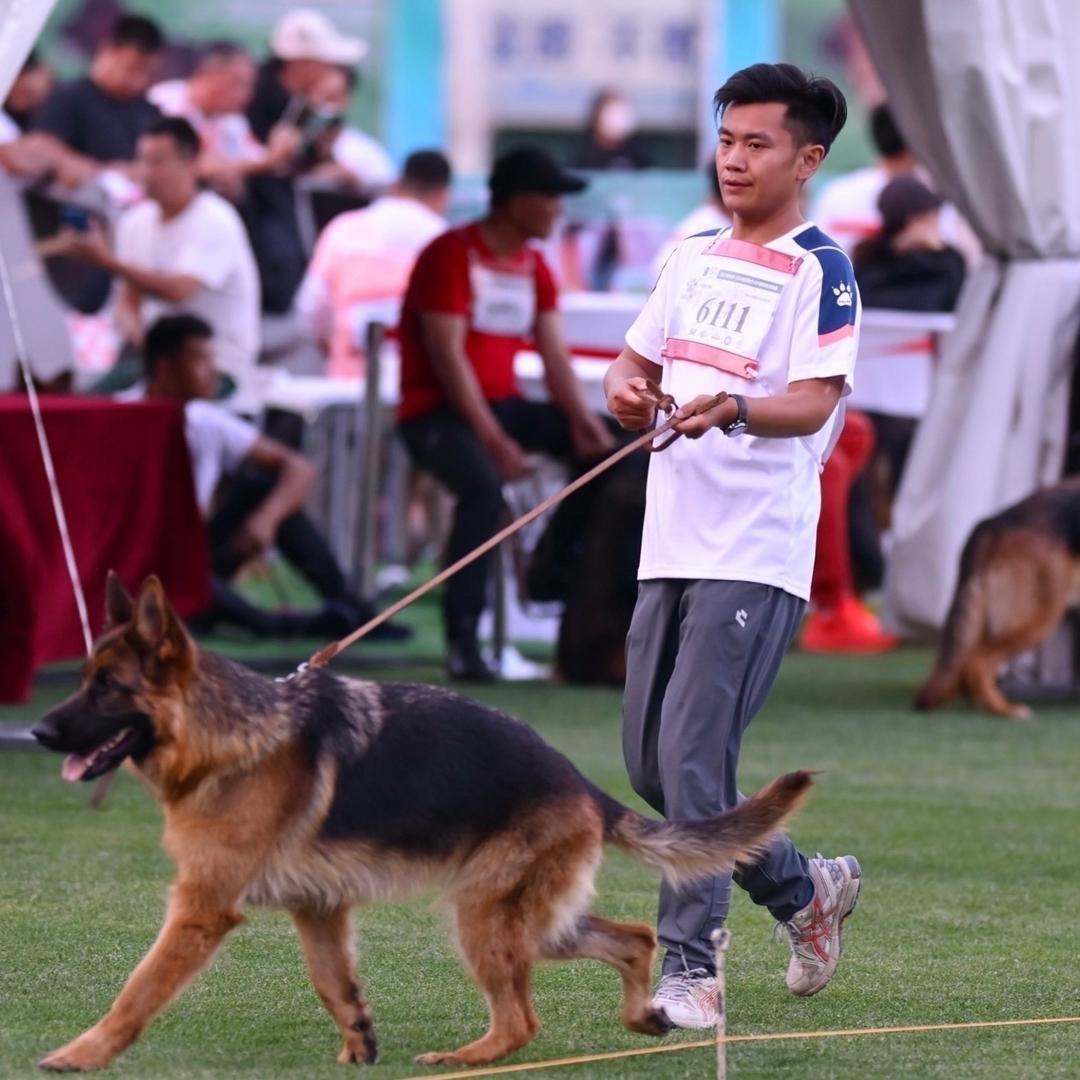 于sir爱德牧（潍坊鑫盛）