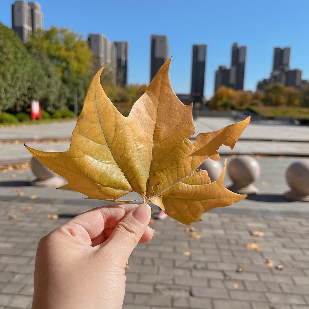 彩虹天