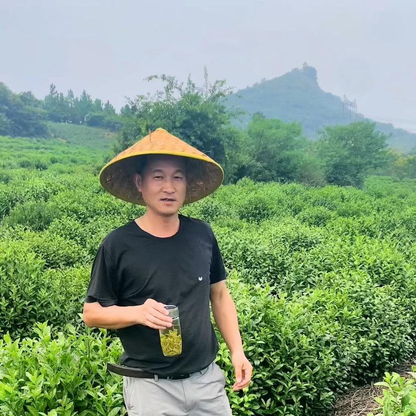 林鹤茶叶
