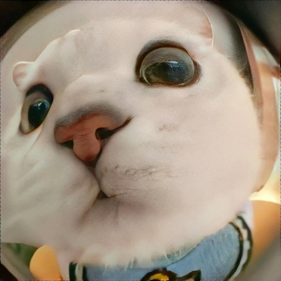 大长今