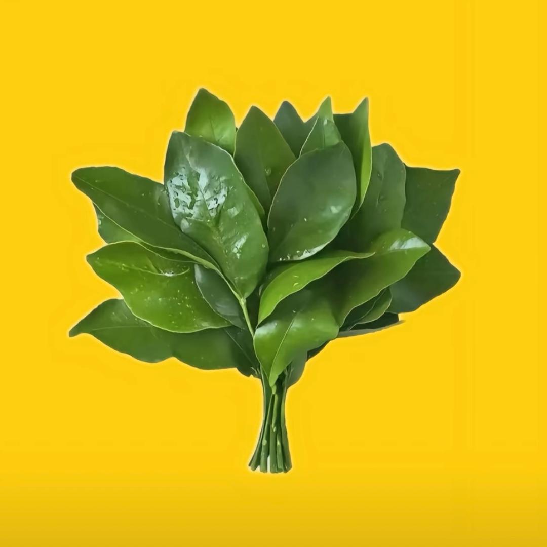 奶茶味的小仙女🧚‍♀️