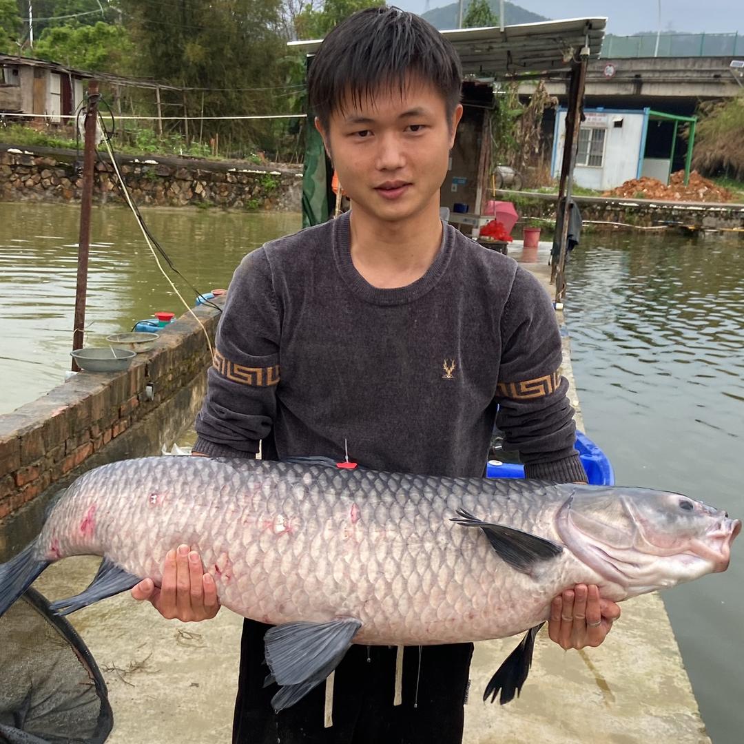 闲云钓鱼