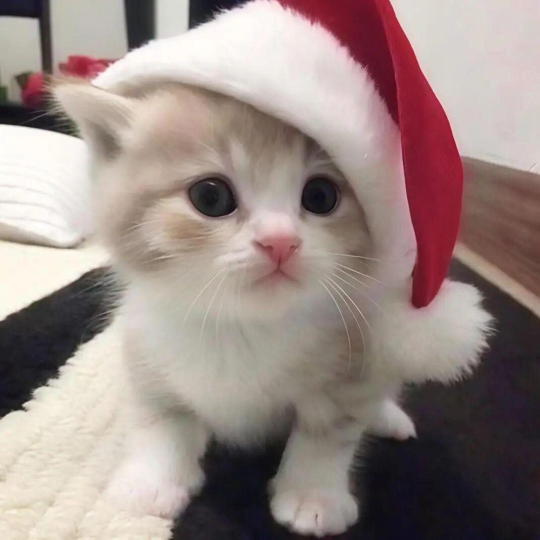 朝夕相处的老公某天凌晨悄悄去当0