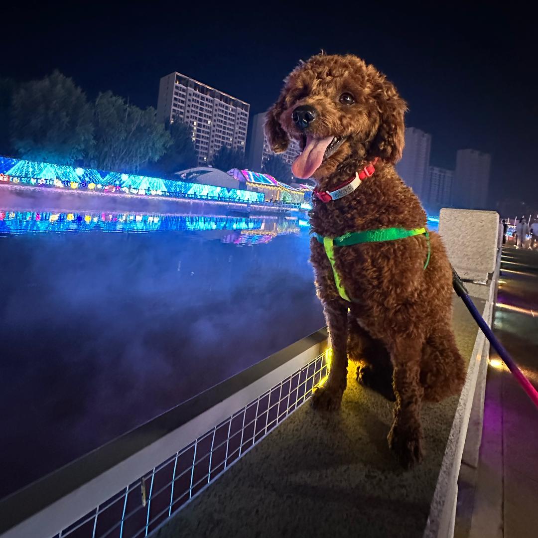 一切都是最好的安排