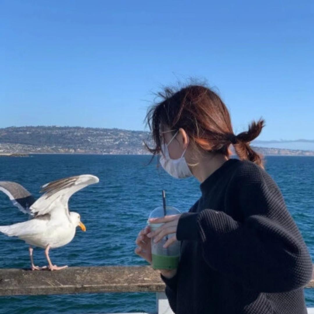 秀英星琴淇