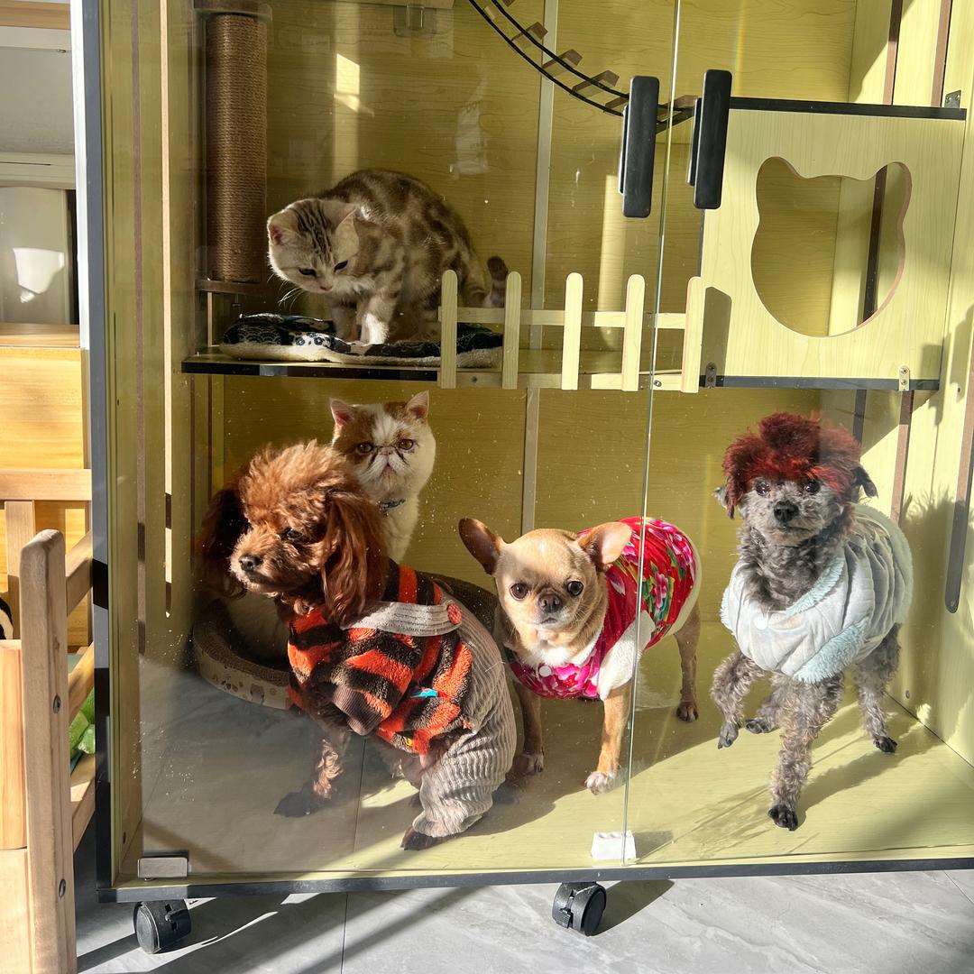 🎀偏爱宠物生活会馆🧸💕