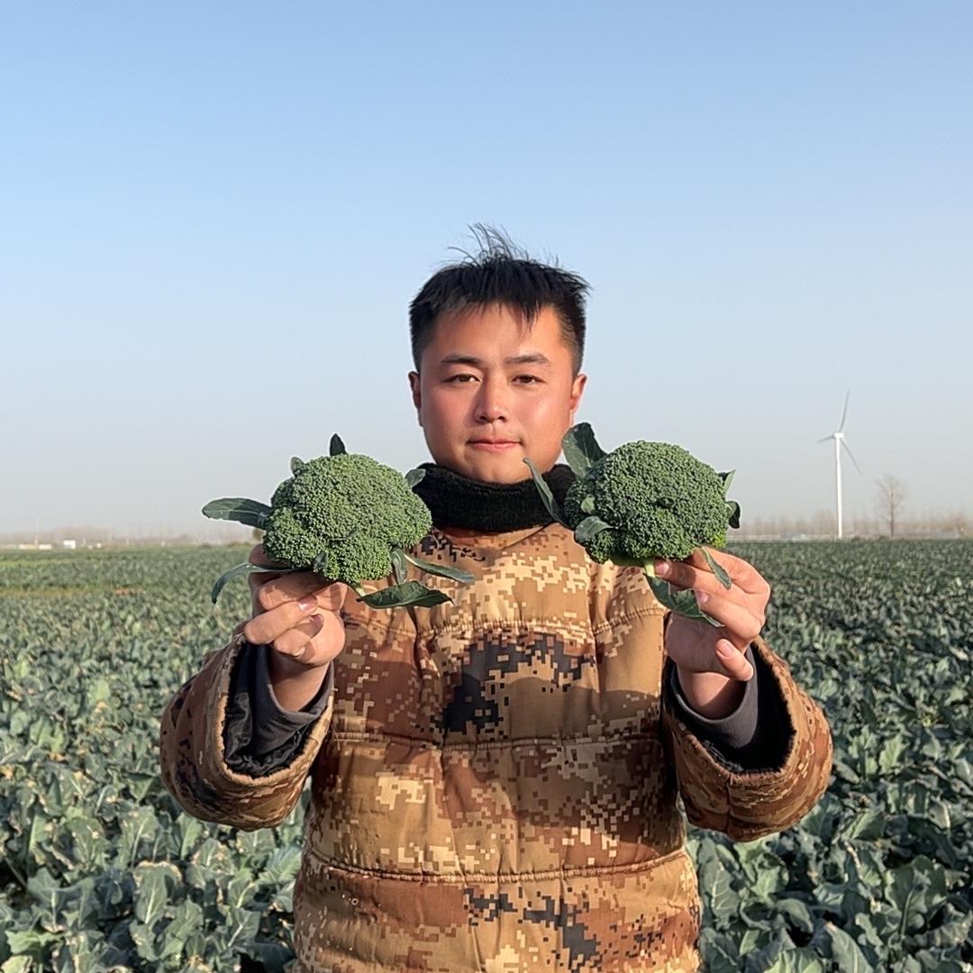 洋洋甄选农产品店