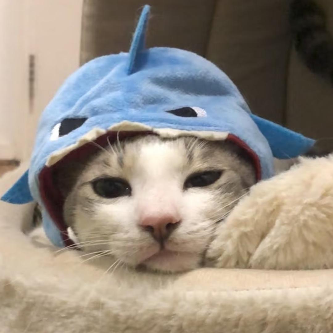 等雨季开