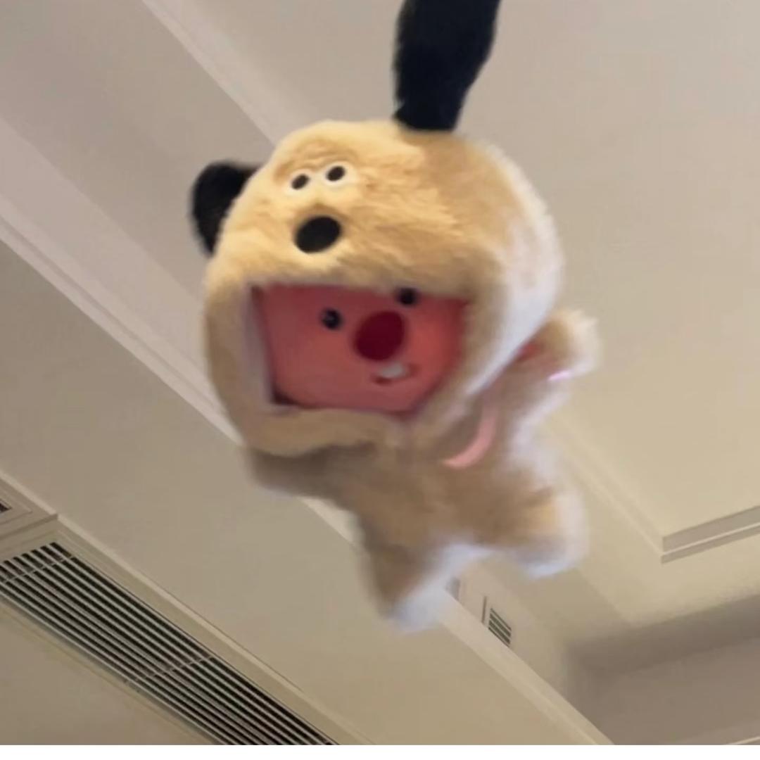 奶桃呀