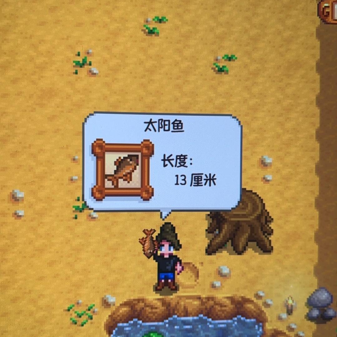 金连金体育