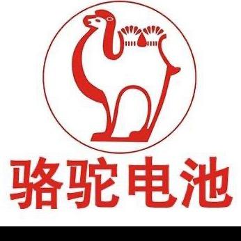新前欧阳电瓶直销