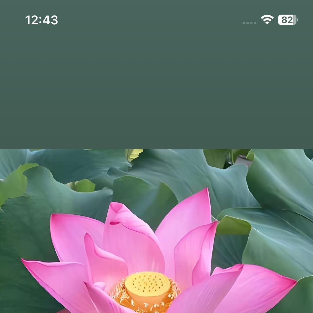 东经文化