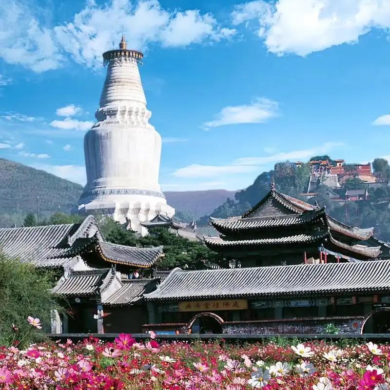 五台山上善本愿