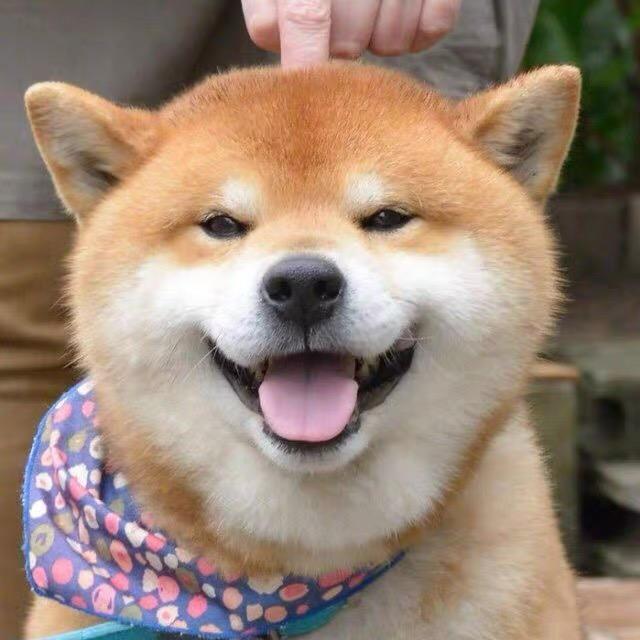 给我起个名