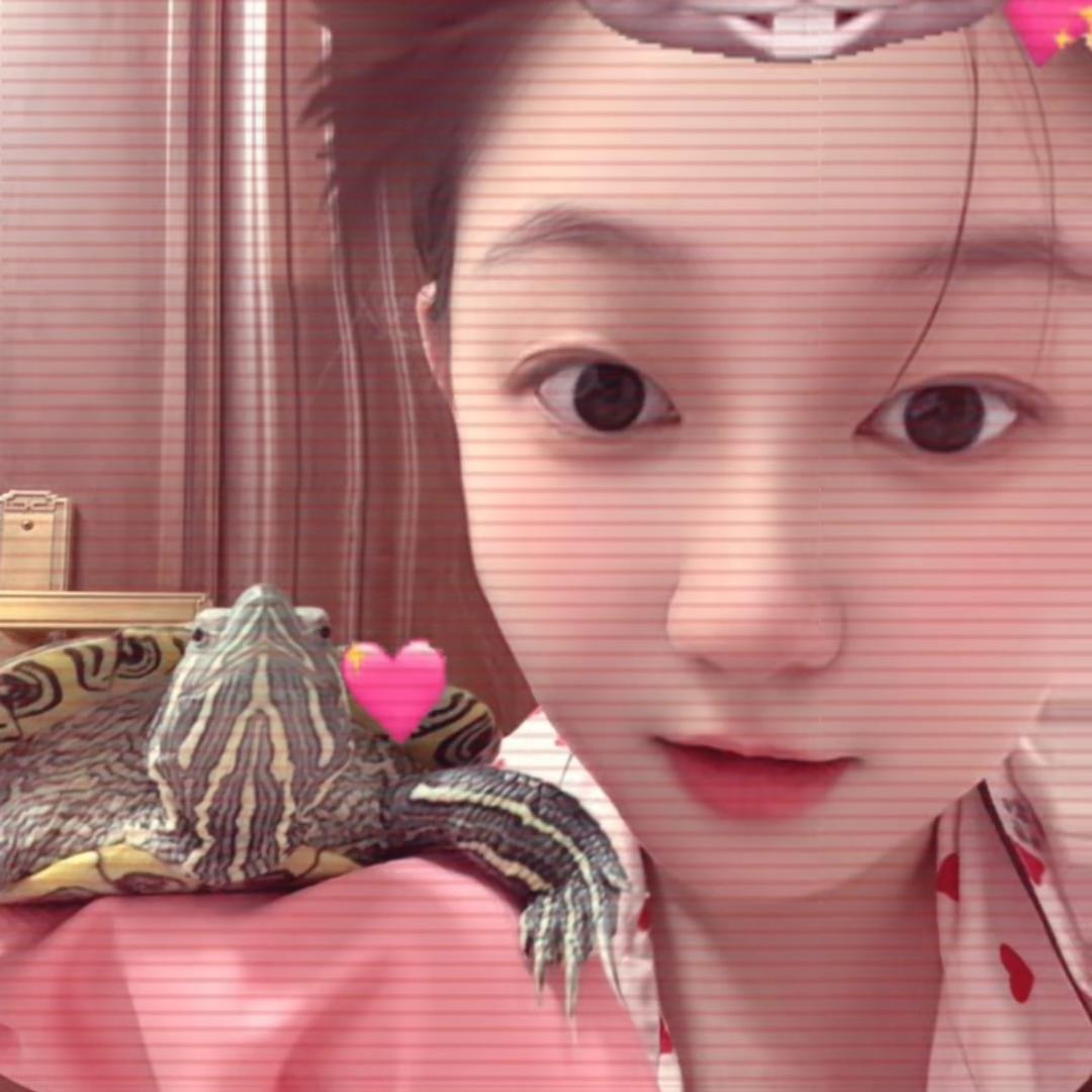 小糕糕吖&杰尼🐢